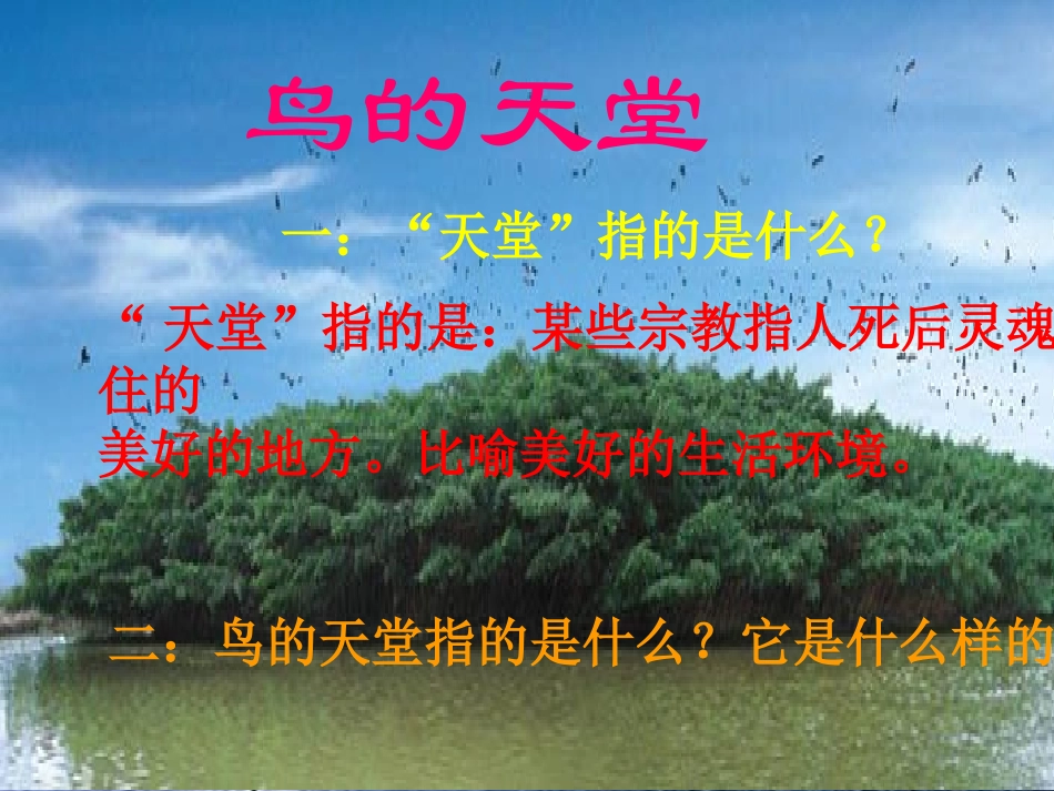 《鸟的天堂》课件_第2页