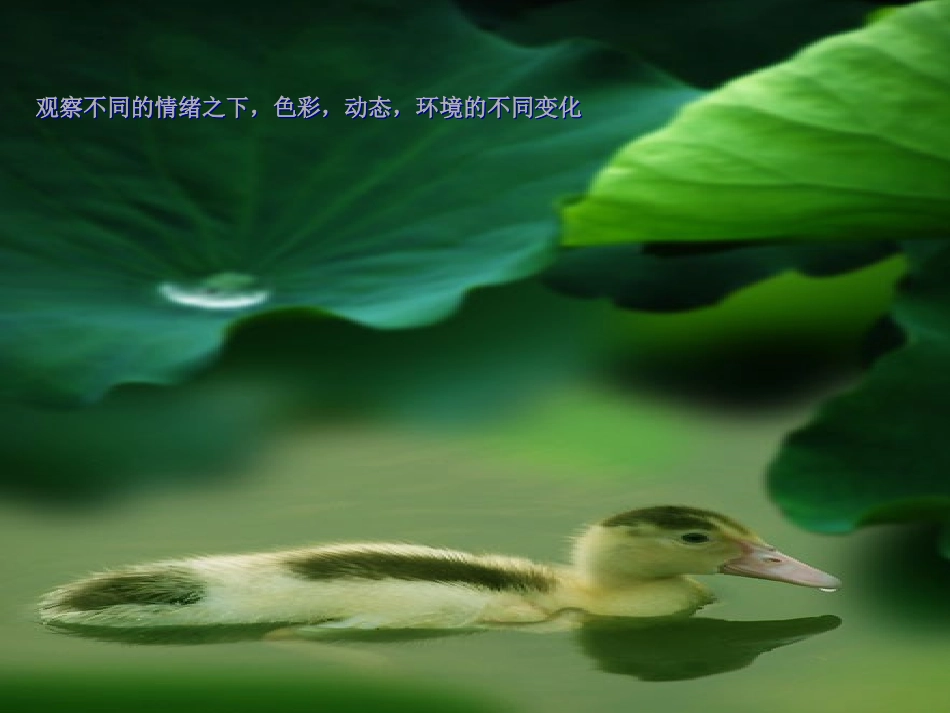 人教新课标美术一年级上册《淅沥的小雨》PPT课件_第3页