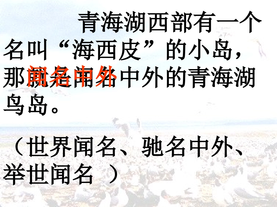 复件二年级语文下册《鸟岛》PPT课件(苏教版)_第3页