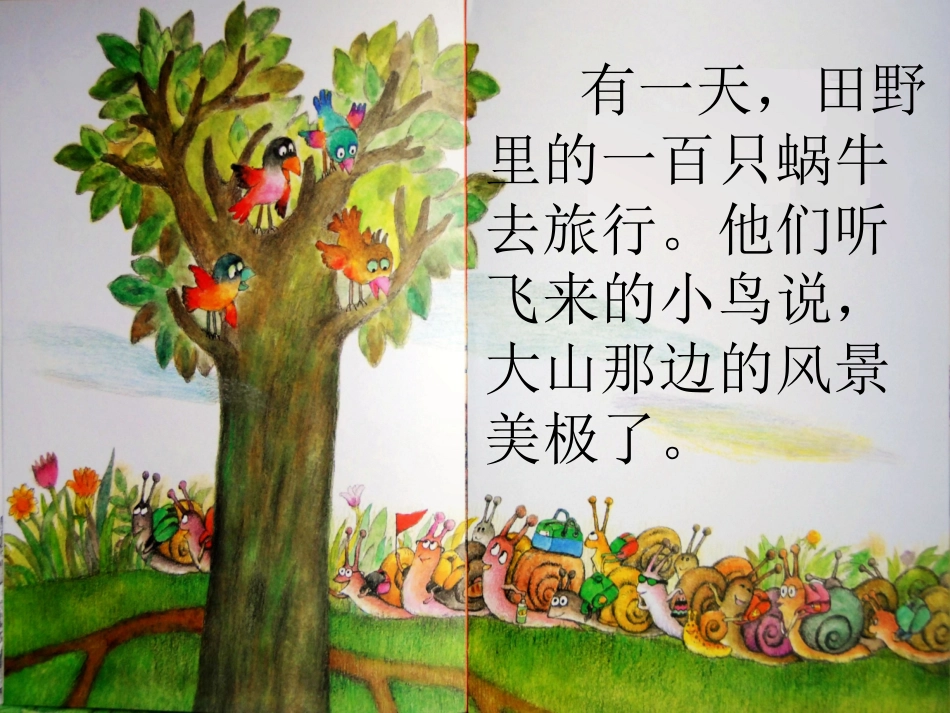 一百只蜗牛去旅行_第3页