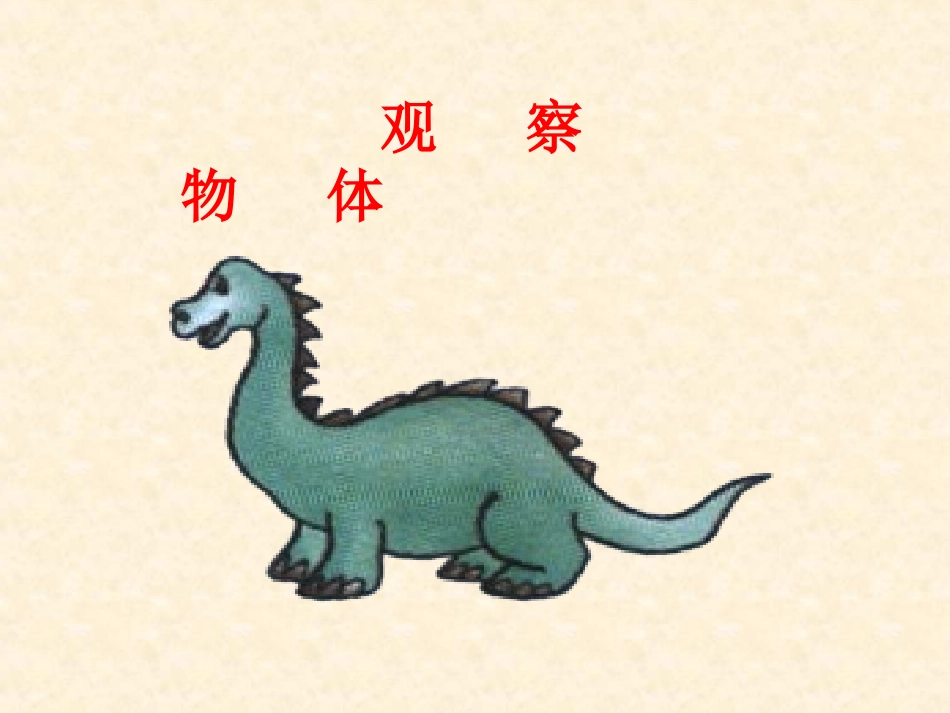 观察物体--孙丽影_第2页