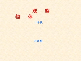 观察物体--孙丽影