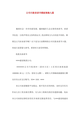 公司付款承诺书模板锦集九篇