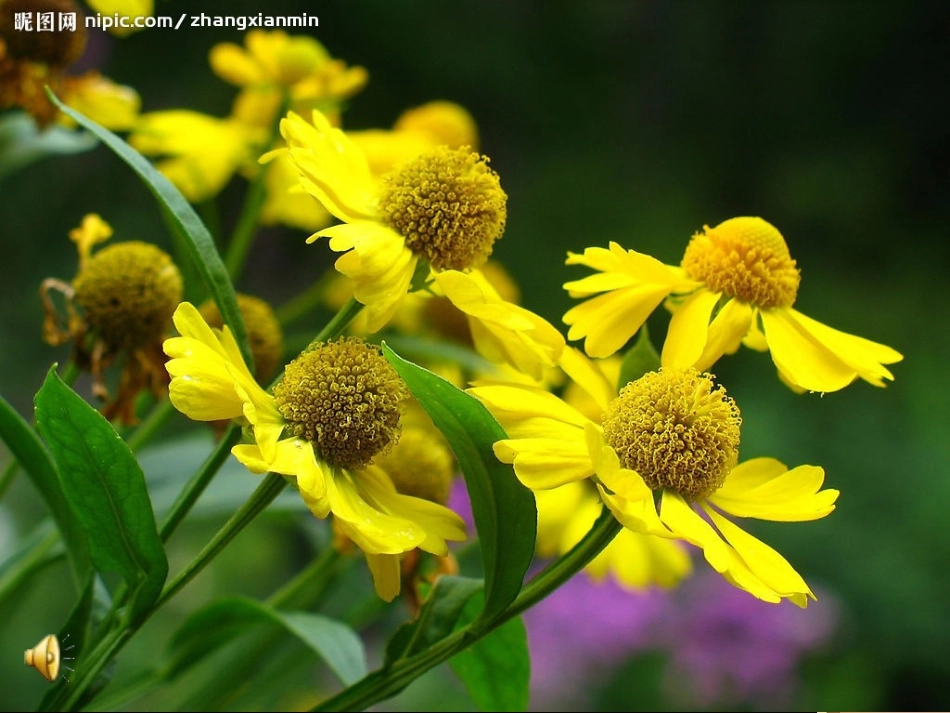 《高尔基和他的儿子》_第2页