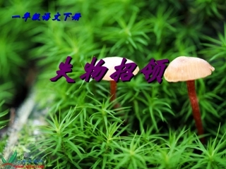 《失物招领》课件