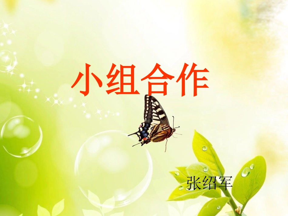 小组合作学习PPT_第1页