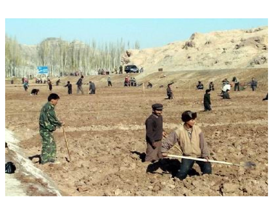 用百分数解决问题(二)_第2页