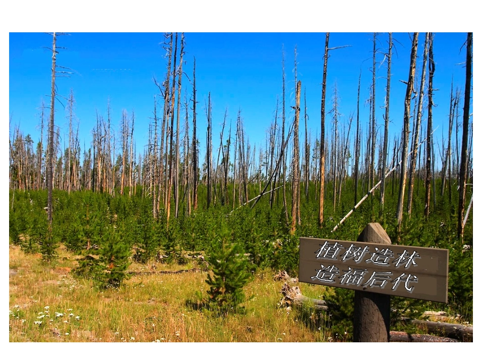 用百分数解决问题(二)_第3页