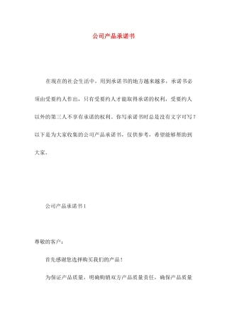 公司产品承诺书