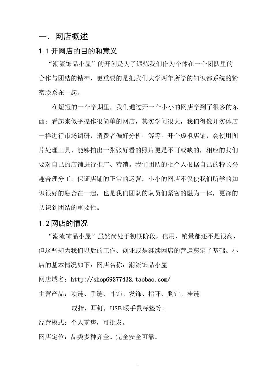 网店营销策划书_第3页