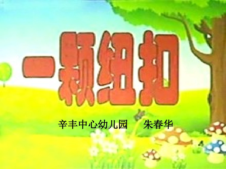 小班综合：一颗纽扣_第1页