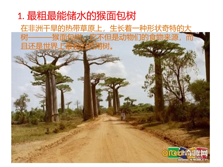 世界奇树异果_第2页