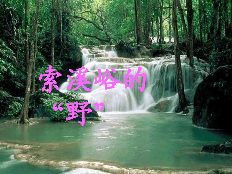 索溪峪的野_优秀课件_无需修改直接用_第1页