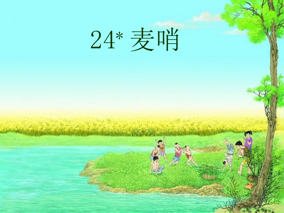 麦哨（公开课）_第1页