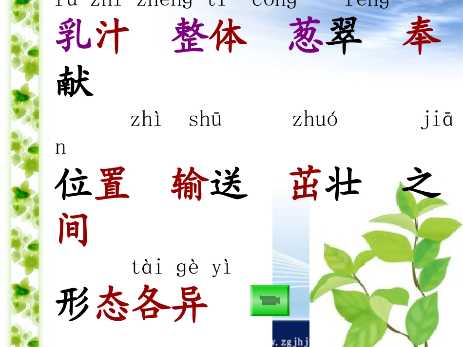 做一片美的叶子课件_第2页