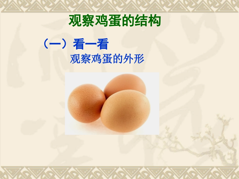 动物生殖（探究鸟卵的结构）_第3页