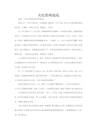 火红的鸡冠花