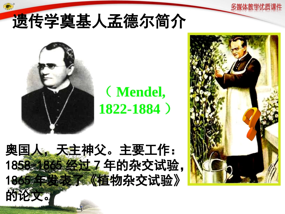 第三节基因的显性和隐性_第3页