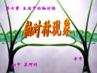 展示课课件（苏阿利）