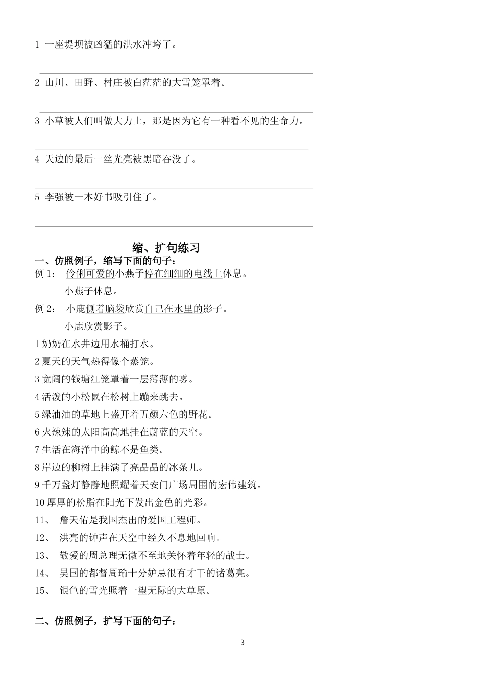 四年级上：句子练习_第3页