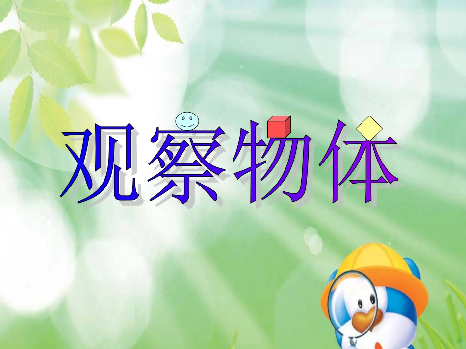观察物体教学课件_第1页