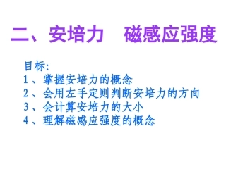 高二物理_安培力磁感应强度