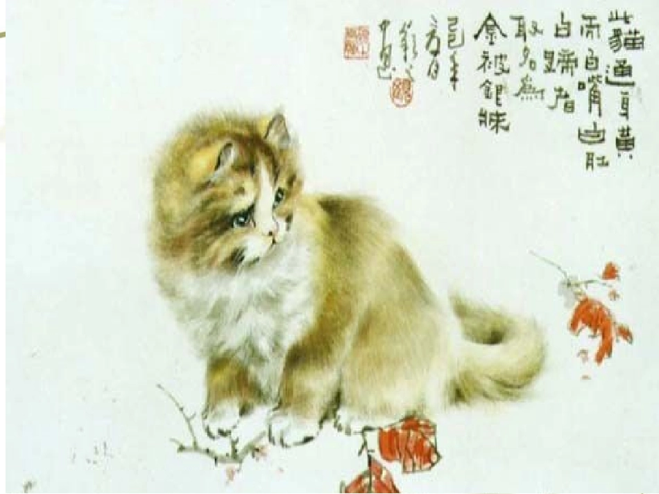 张润泽-《猫》-教学课件_第2页