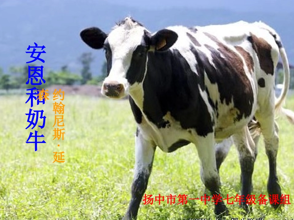 安恩与奶牛liu_第2页