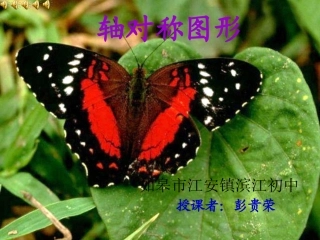 人教版_二年级上册数学课件_对称图形