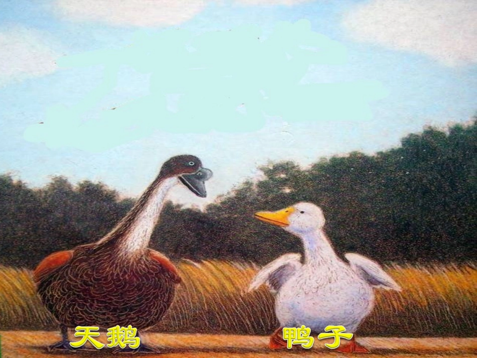 一根羽毛也不能动_第1页