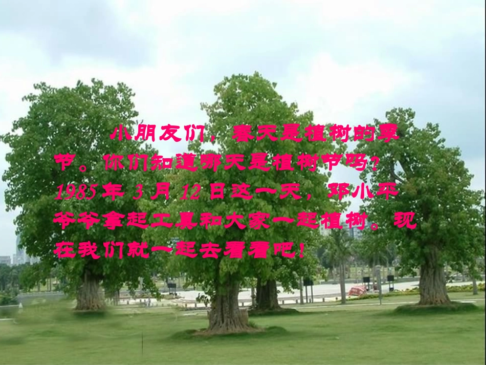 邓小平爷爷植树PPTPPT课件_第3页