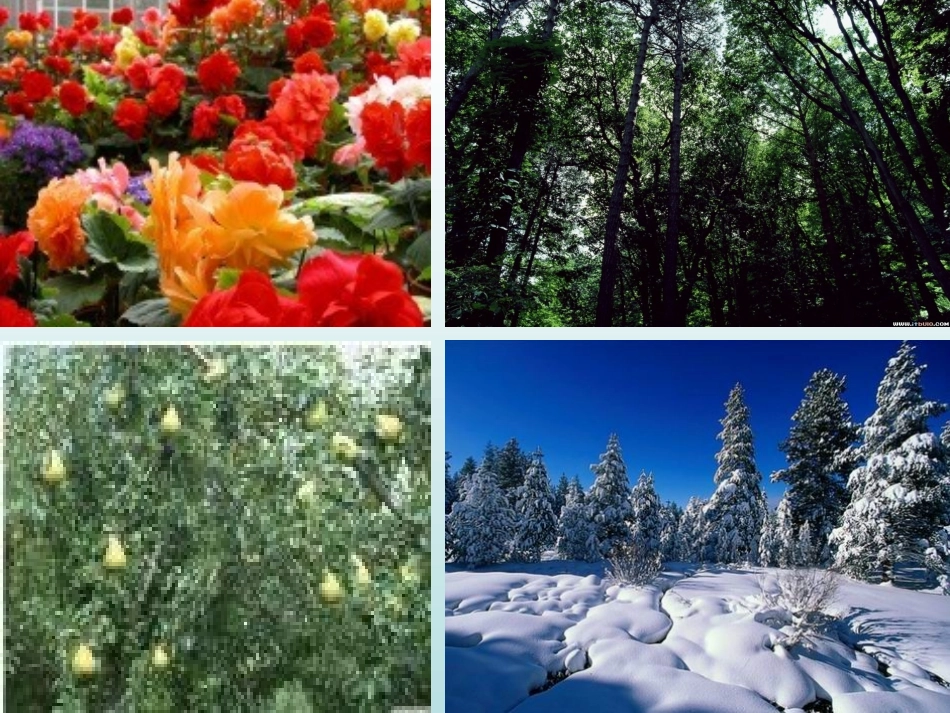 巨人的花园上课用_第2页