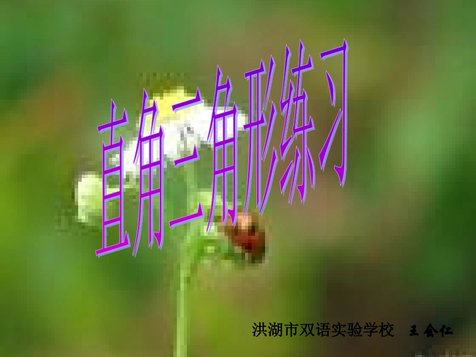 直角三角形练习_第1页