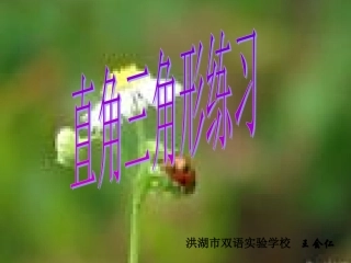 直角三角形练习