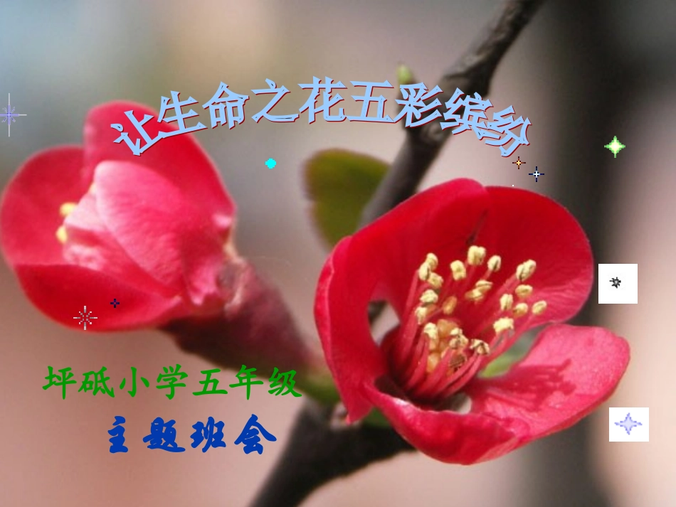 五年级主题班会_让生命之花五彩缤纷_第1页