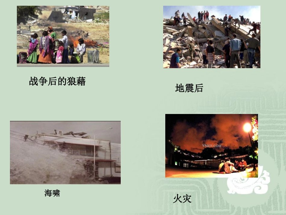 五年级主题班会_让生命之花五彩缤纷_第3页