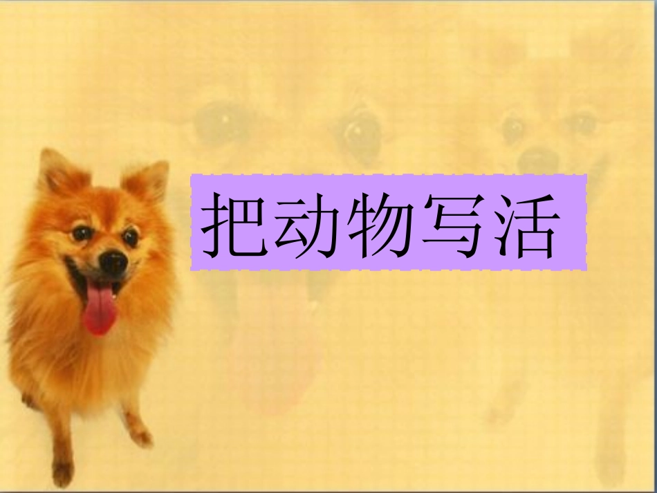 写一种小动物_第1页