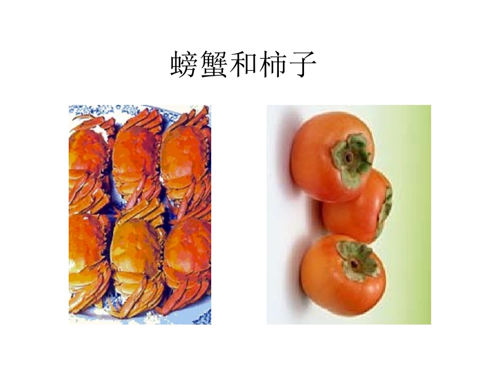 螃蟹和柿子课件_第1页