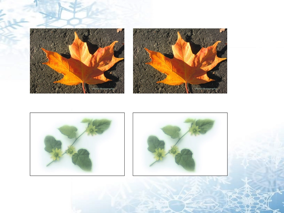 全等三角形定义性质_第2页