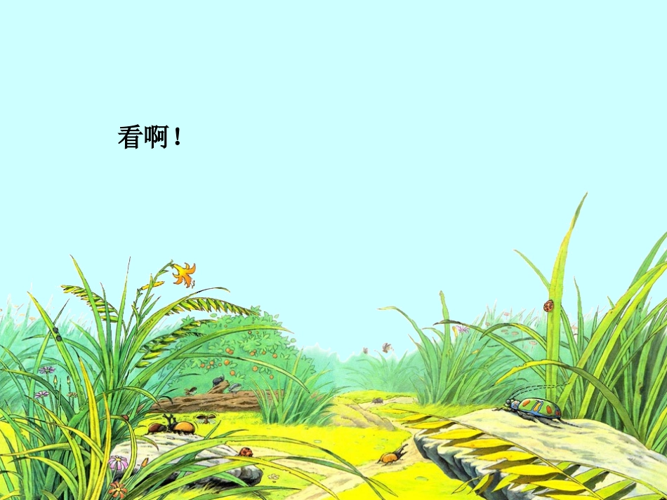 草虫的村落课件_第3页