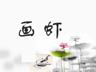 《画虾》课件