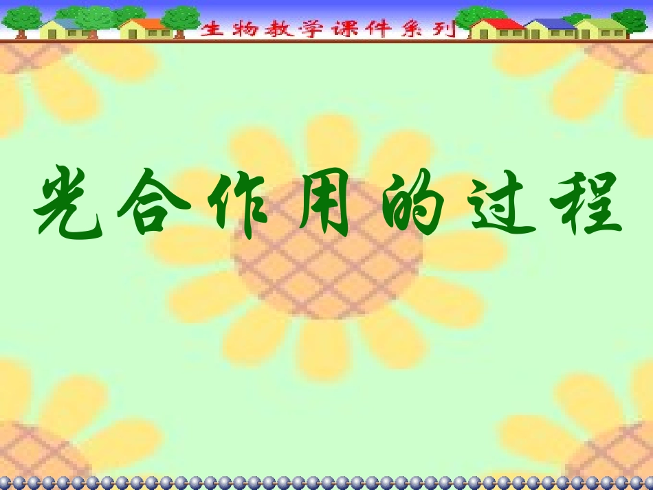 光合作用的过程_第1页