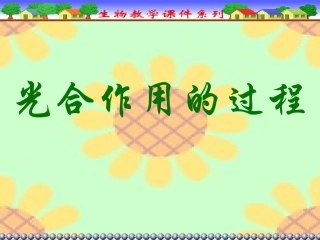 光合作用的过程