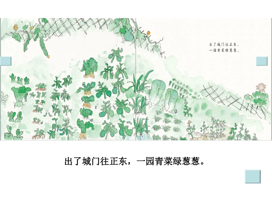 绘本《一园青菜成了精》_第2页