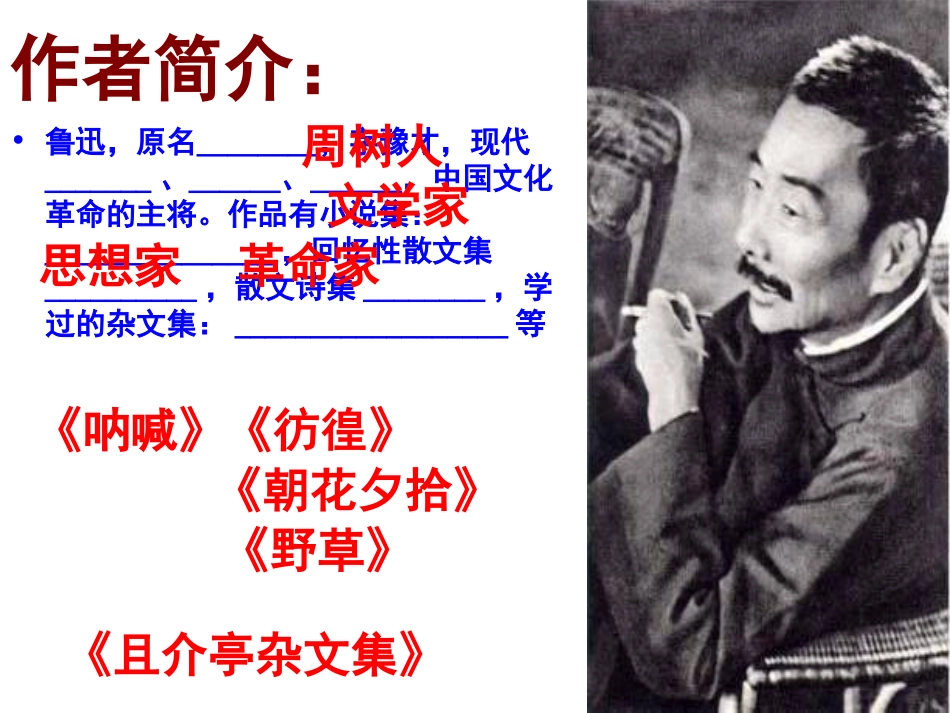 九年级语文下册《孔乙己》课件_第3页