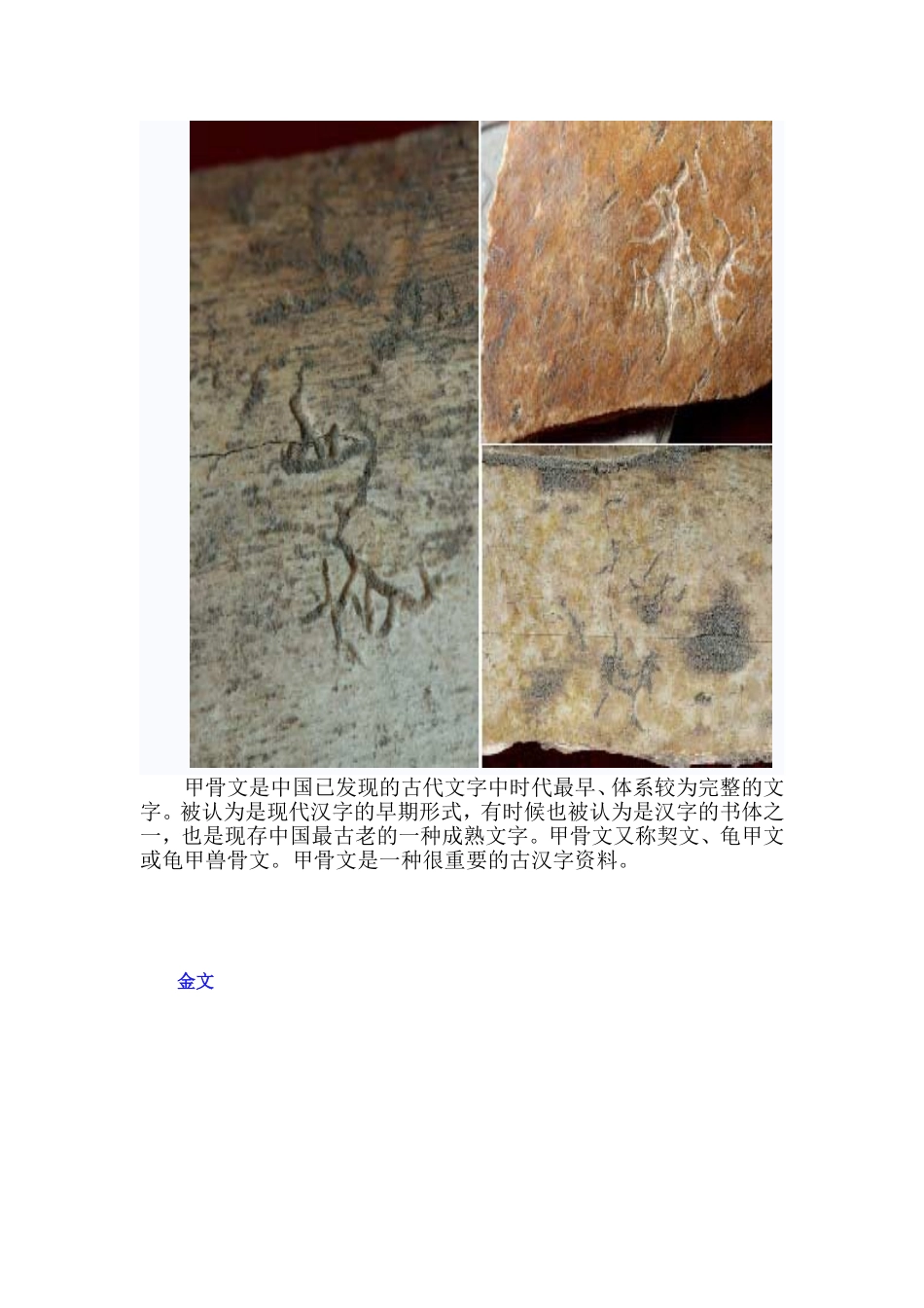 汉字的起源与演变_第2页