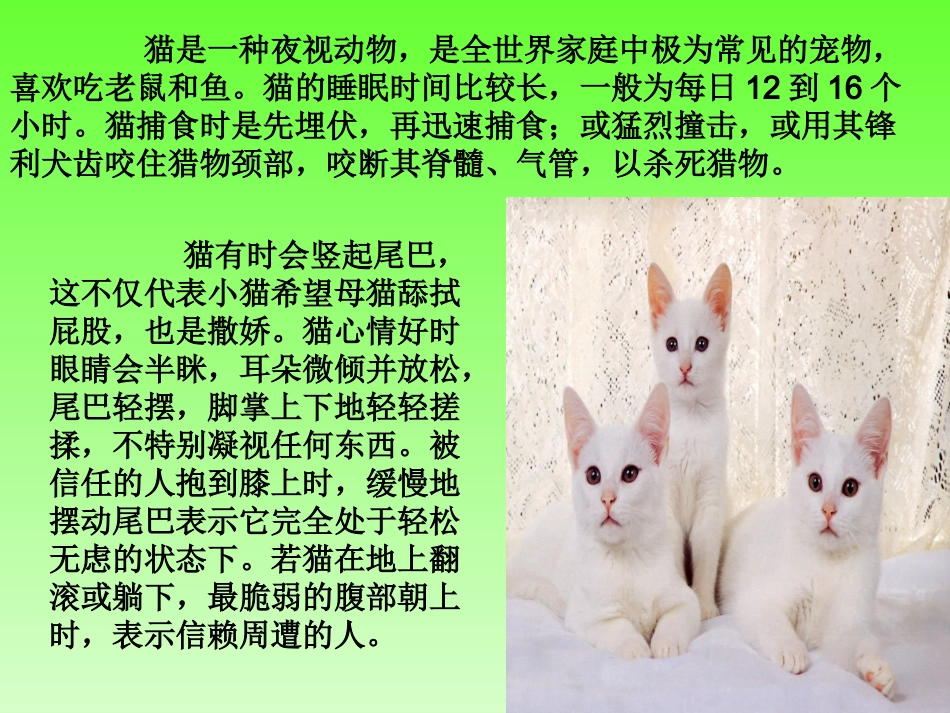 常见动物生活的特点_第3页