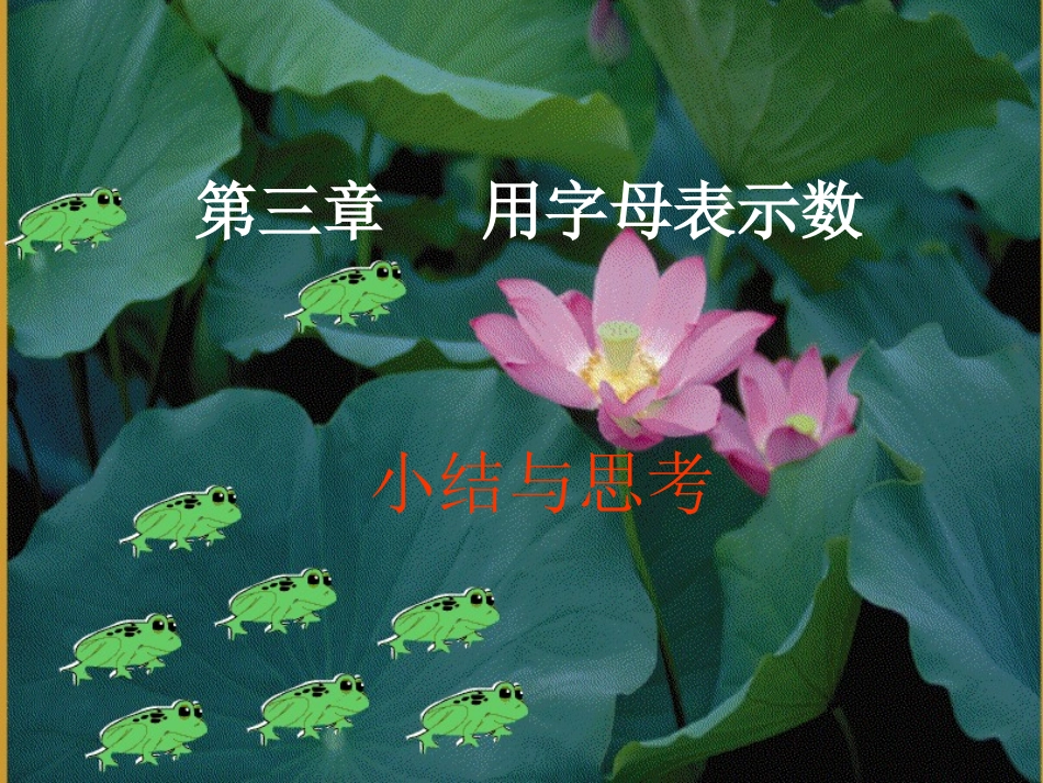 第三章用字母表示数(复习)_第1页