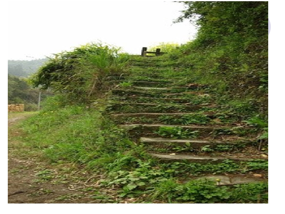 乡间的小路音乐_第3页