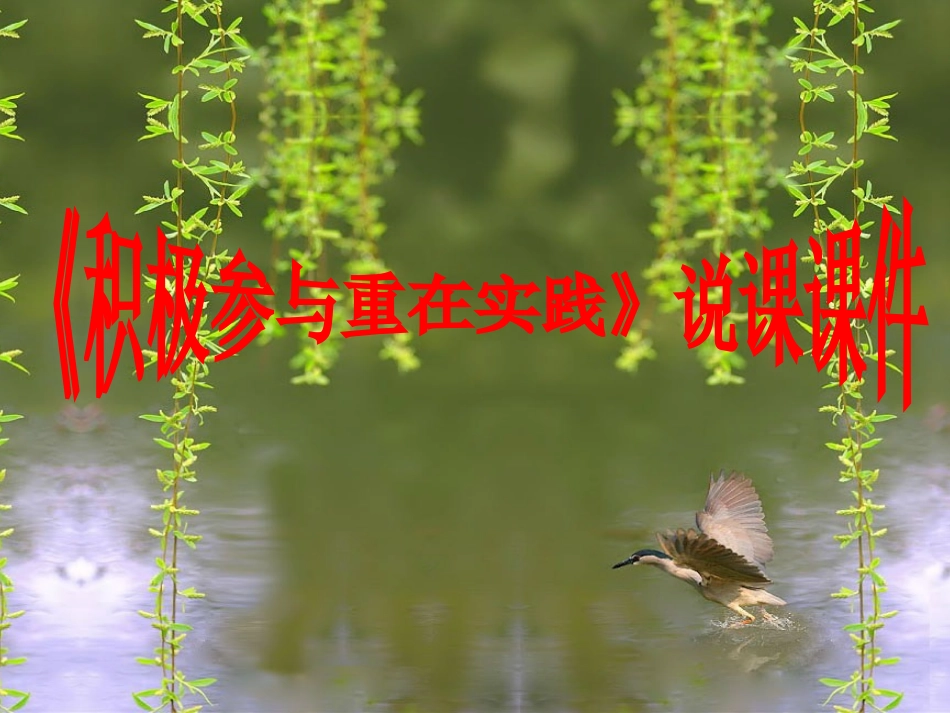 《政治生活：积极参与重在实践》说课课件_第1页